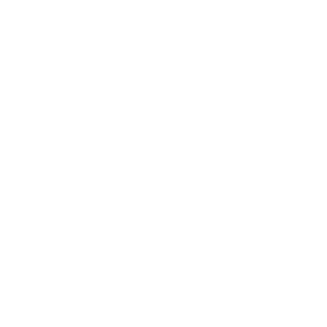 Logo de Paysalp en blanc client du studio Ütopiya