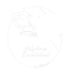 Logo de alpine institut en blanc client du studio Ütopiya